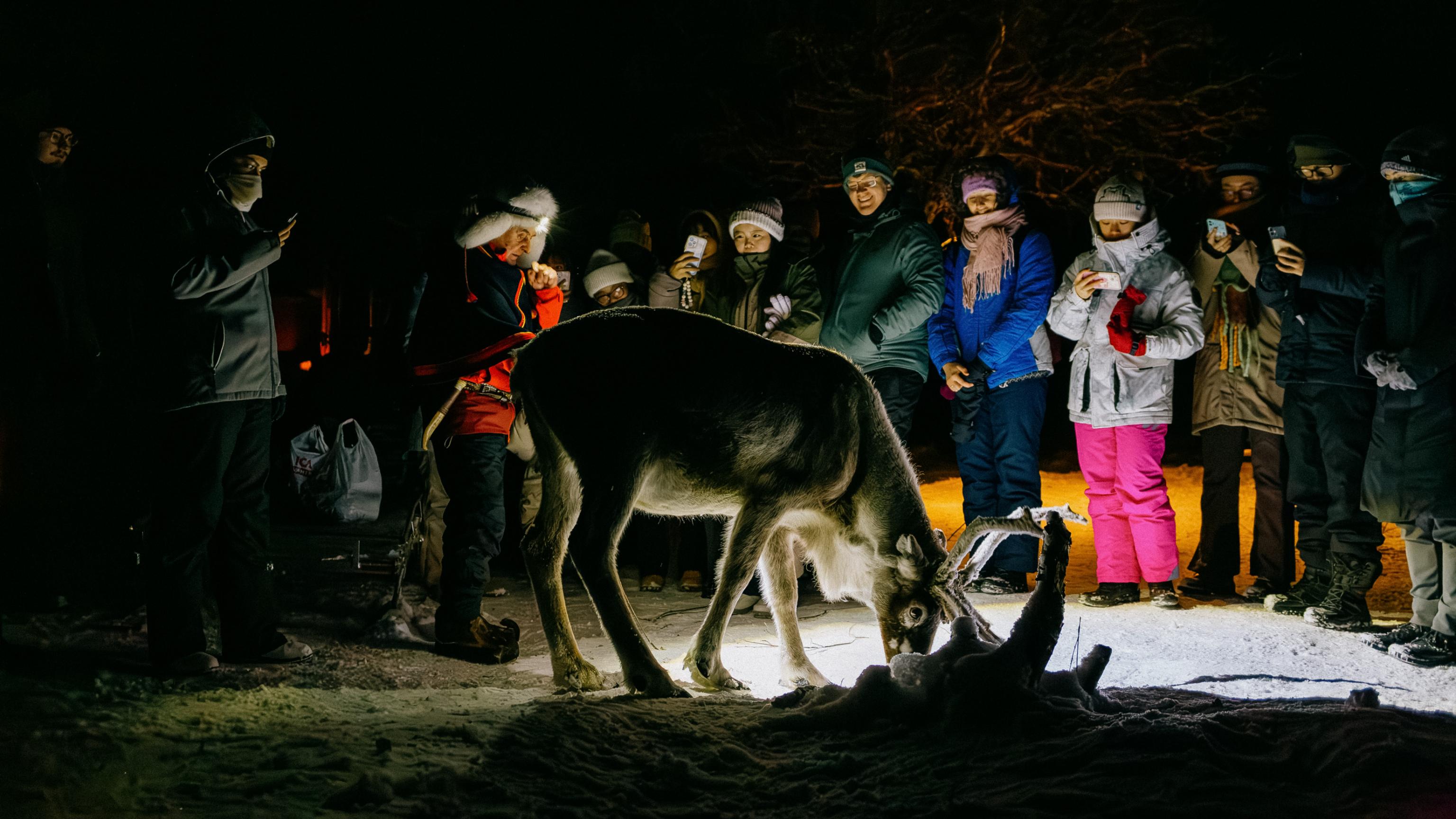 Timetravels Herder Experience in Swedish Lapland.