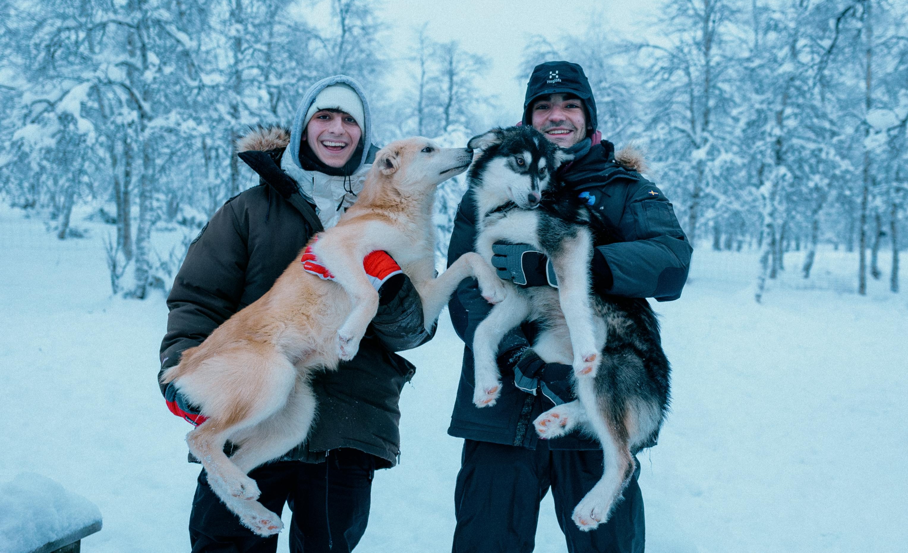 Pair of boys petting husky.